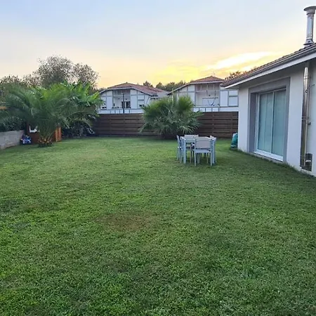 Oyamai * Bénesse-Maremne