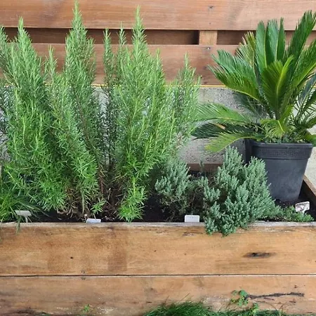 Oyamai Bénesse-Maremne